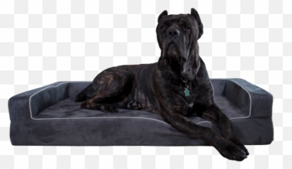 Extra Large Dog Beds Dog Beds For Big Dogs Bully Beds - Bully Bed Emoji,Bbc Dogs Emotions