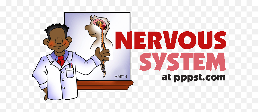 Nervous System Cliparts Png Images - Drinkaware Emoji,Emotions And The Neurological System