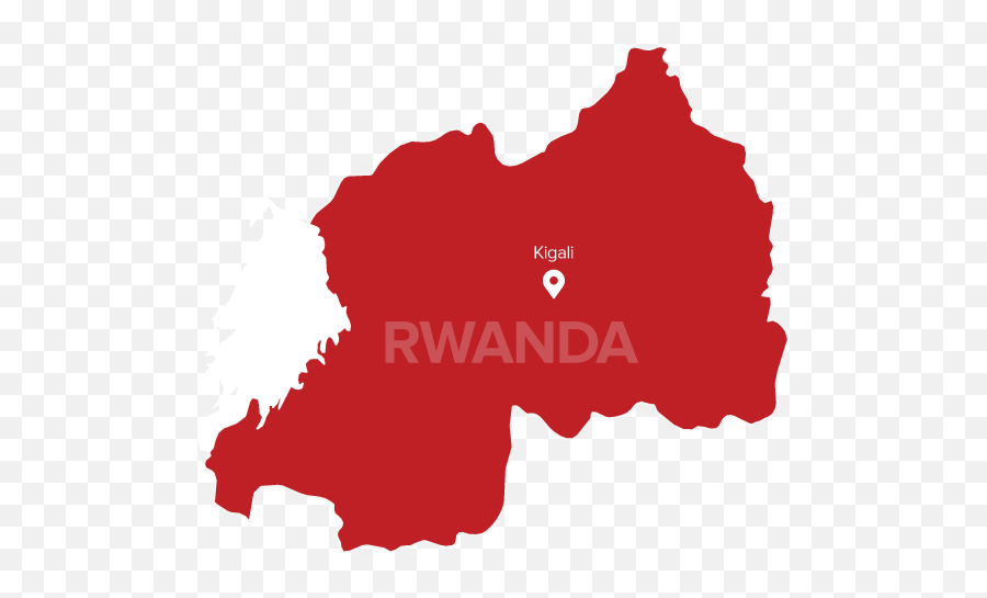 Rwanda - Redroad Tours Wat Ratburana Emoji,Gorrilla Emotions
