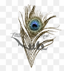Aqua Peacock Feather Clear Waterslide U2013 Littlelee And Rose - Decorative Emoji,Peacock Feather Ascii Emoticon