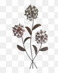 Nature Wall Decor Png File Png Mart Emoji,Canvas Decor Emojis