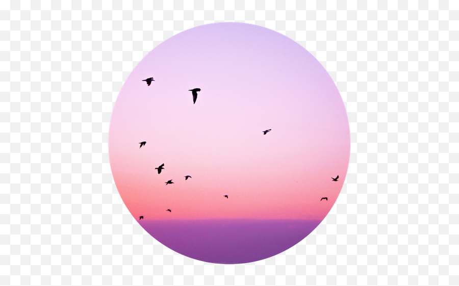 Dark To Light Counseling Asheville Nc Russell Murray Lcmhc Emoji,Galaxxy Emoji