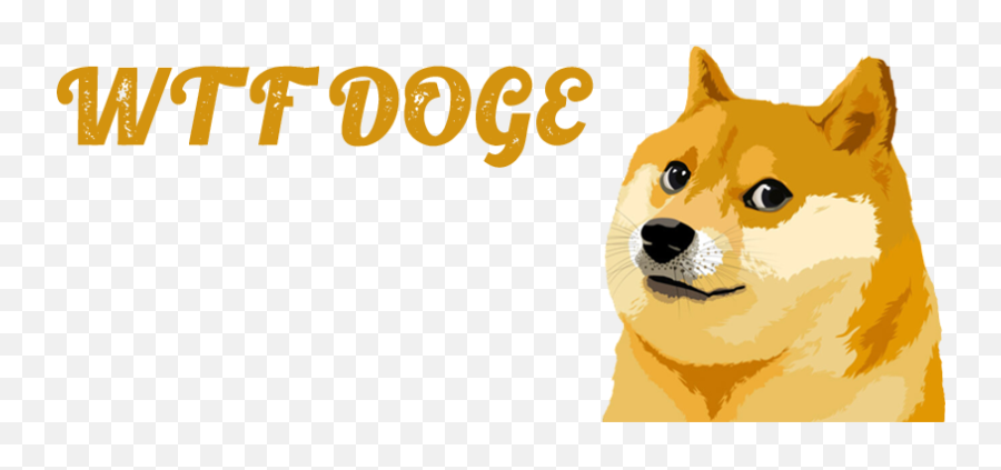 Wtf Doge Discord Bot - Find The Best Discord Bots For Your Emoji,Where To Find Wtf Emoji