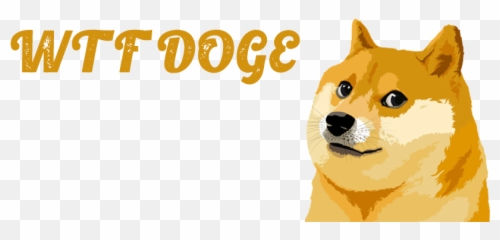 Wtf Doge Discord Bot - Find The Best Discord Bots For Your Emoji,Where To Find Wtf Emoji