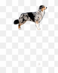 The Most Edited - Vulnerable Native Breeds Emoji,Australian Shepherd Emoji