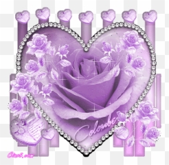 Rose Flower Pictures Glitter Flowers - Transparent Purple Rose Gif Emoji,Two Roses Emoji