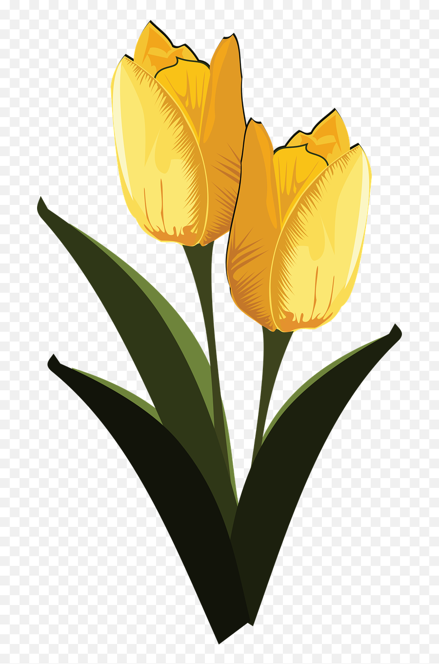 Clip Art Flor Flora Flower Png Image - Clip Art Emoji,Tulip Emojis
