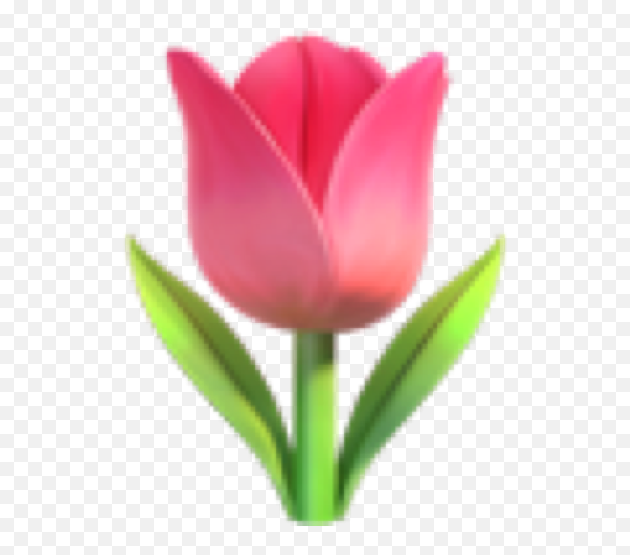 Flower Emoji Png - Tulip Emoji,Iphone Emoji Flowers Png