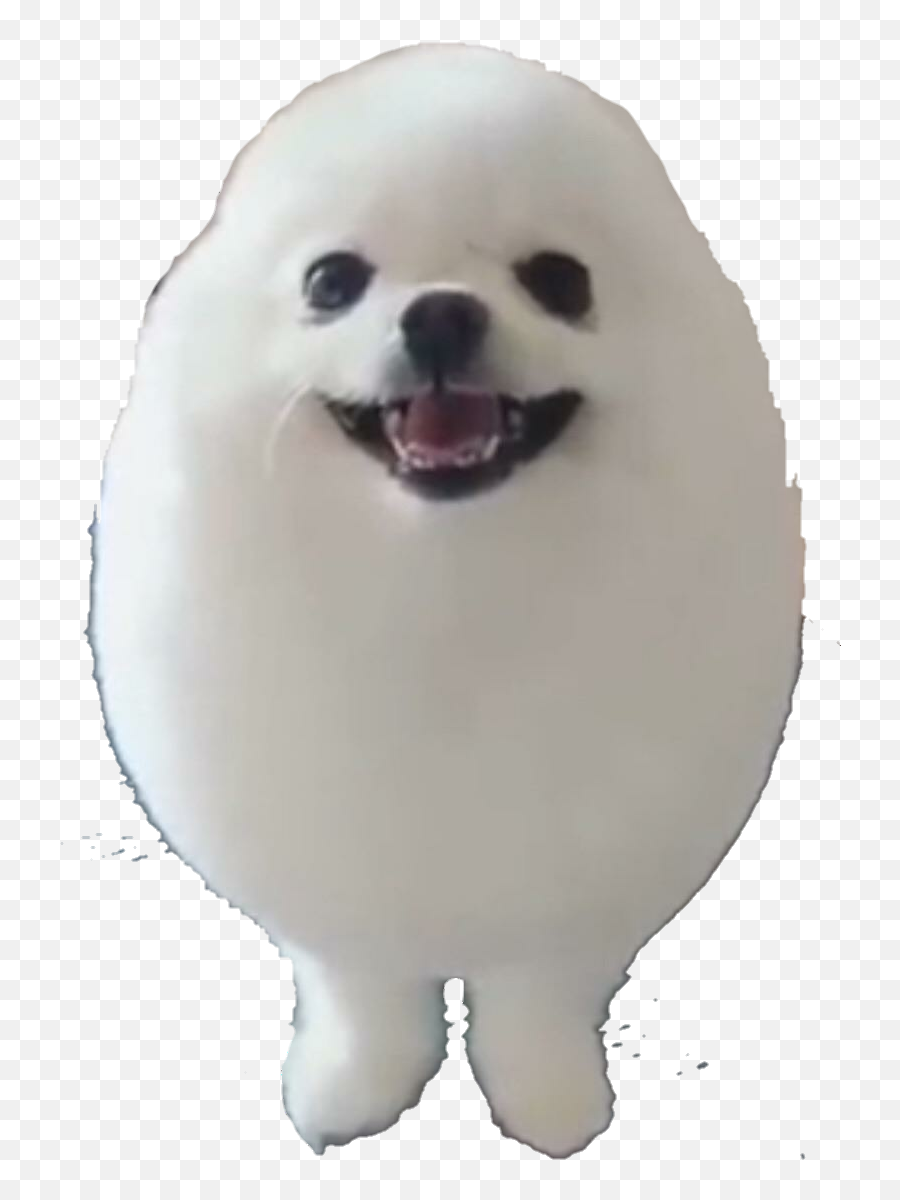 Eggdog - Album On Imgur Egg Dog Meme Transparent Emoji,Dog Emoji Copy And Paste