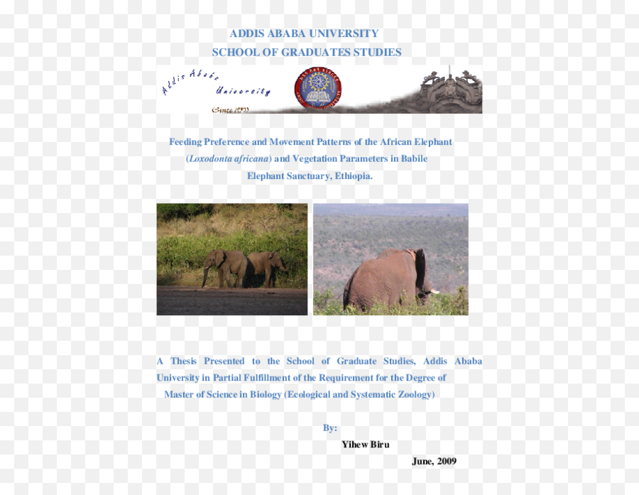 Pdf School Of Graduates Studies Mulugeta Ayele - Academiaedu Emoji,Pachyderms Emotions