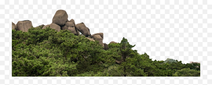 Jungle Backdrop Hill 284410122023211 By Mcindoedits Emoji,Bedrock Block Emoji