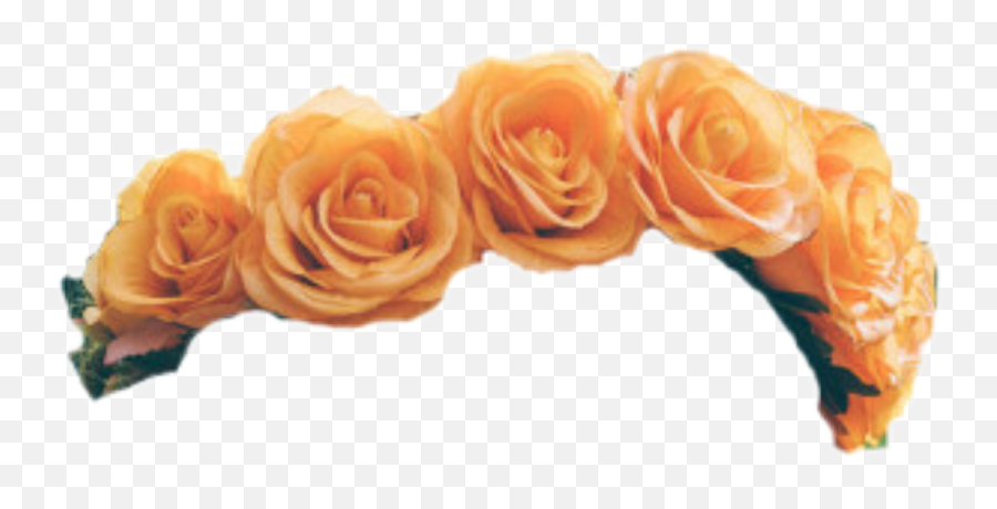 Amber Rose Png - Transparent Background Orange Flower Crown Png Emoji,Monkey Emoji With Flower Crown Png