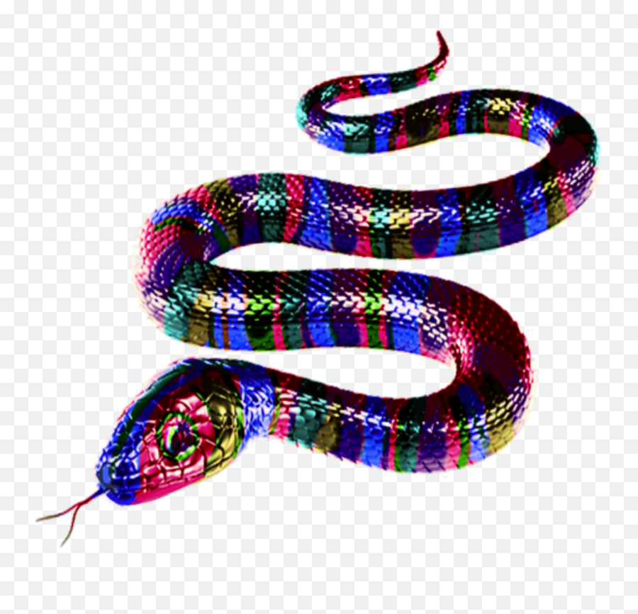 Snakerainbowtaylorswiftreputationsssss - Serpent Emoji,Taylor Swift Snake Emojis