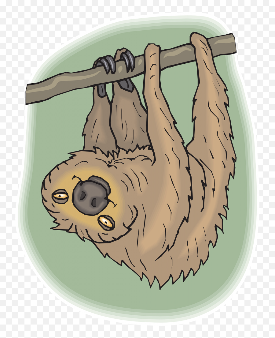 Sloth Public Domain Image Search - Tekening Van Een Luiaard Emoji,Sloth Face Emoticon