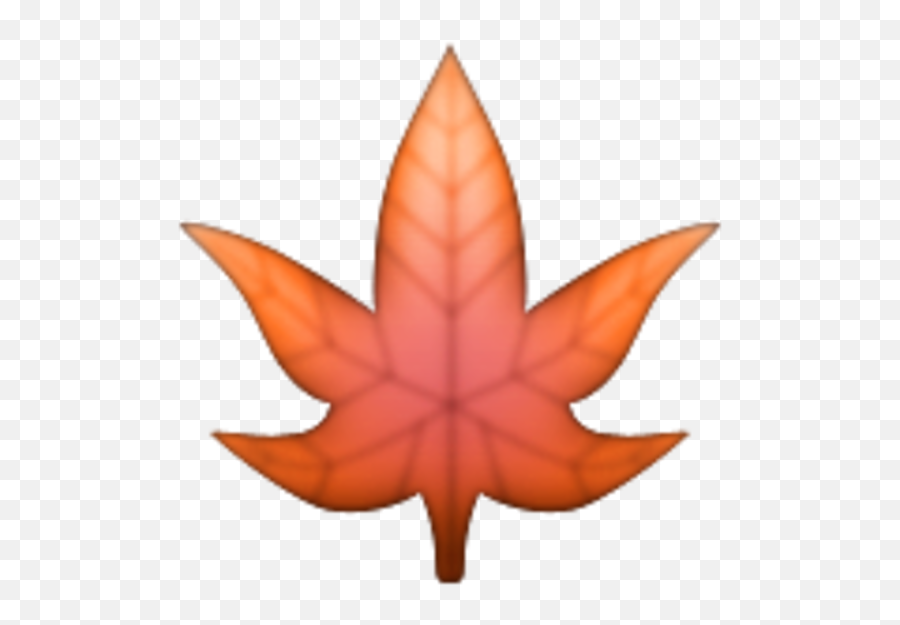 Pd Douglenisdiaz U2014 Likes Askfm - Maple Leaf Emoji Png,Te Amocon Emojis