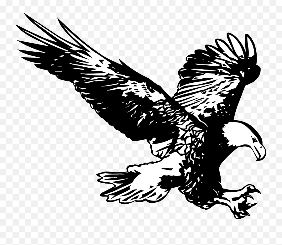 Eagle Line Drawing Png Emoji,Polish Eagle Emoji