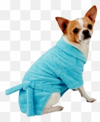 Dogs Happy Pet - Dog Clothes Emoji,Dogs And Cats Emotions