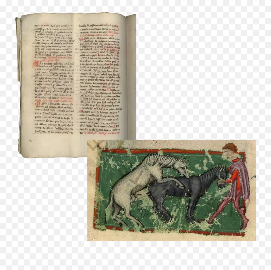 Horse Horoscopes And Other Wisdom From Medieval Veterinary - Document Emoji,Les Zexperts Quelles Emotions