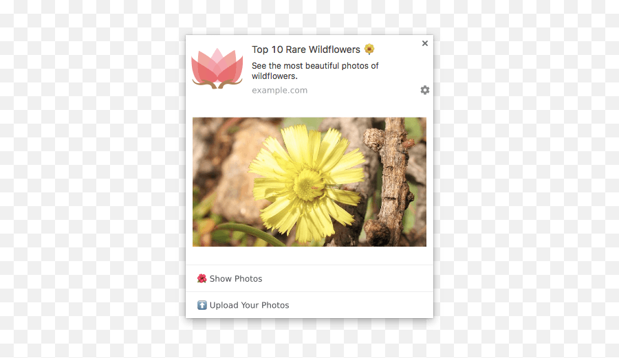 Web Push Notifications - Pushpad Emoji,Desktop Flower Emojis