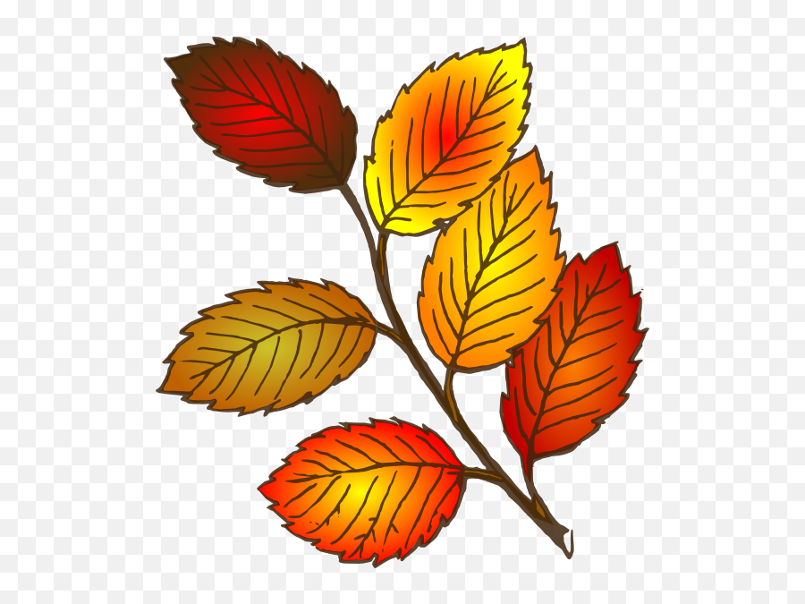 Leaf Fall Leaves Clip Art Free Vector For Free Download Emoji,Oregano Leaves Emoji