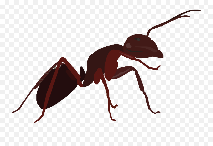 Buncee - Ants Emoji,Sleep Ant Ladybug Ant Emoji