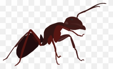 Buncee - Ants Emoji,Sleep Ant Ladybug Ant Emoji
