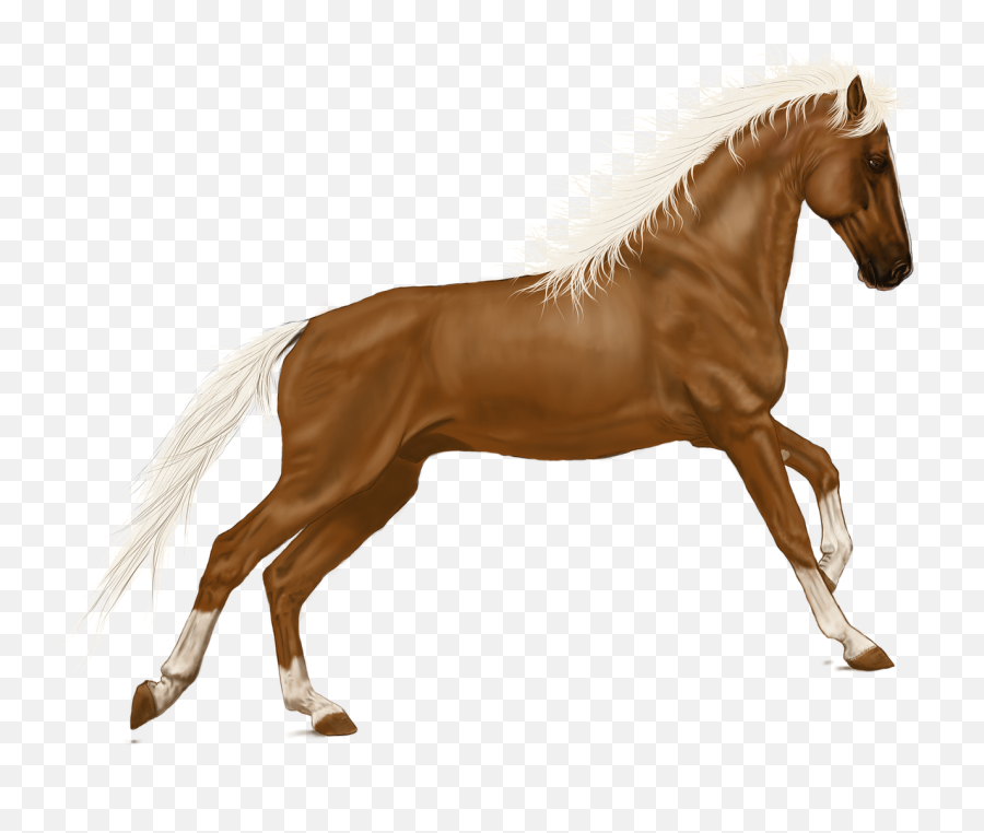 Horse Digital Art Png Emoji,Emoji Japan Flag Horse Dance Music