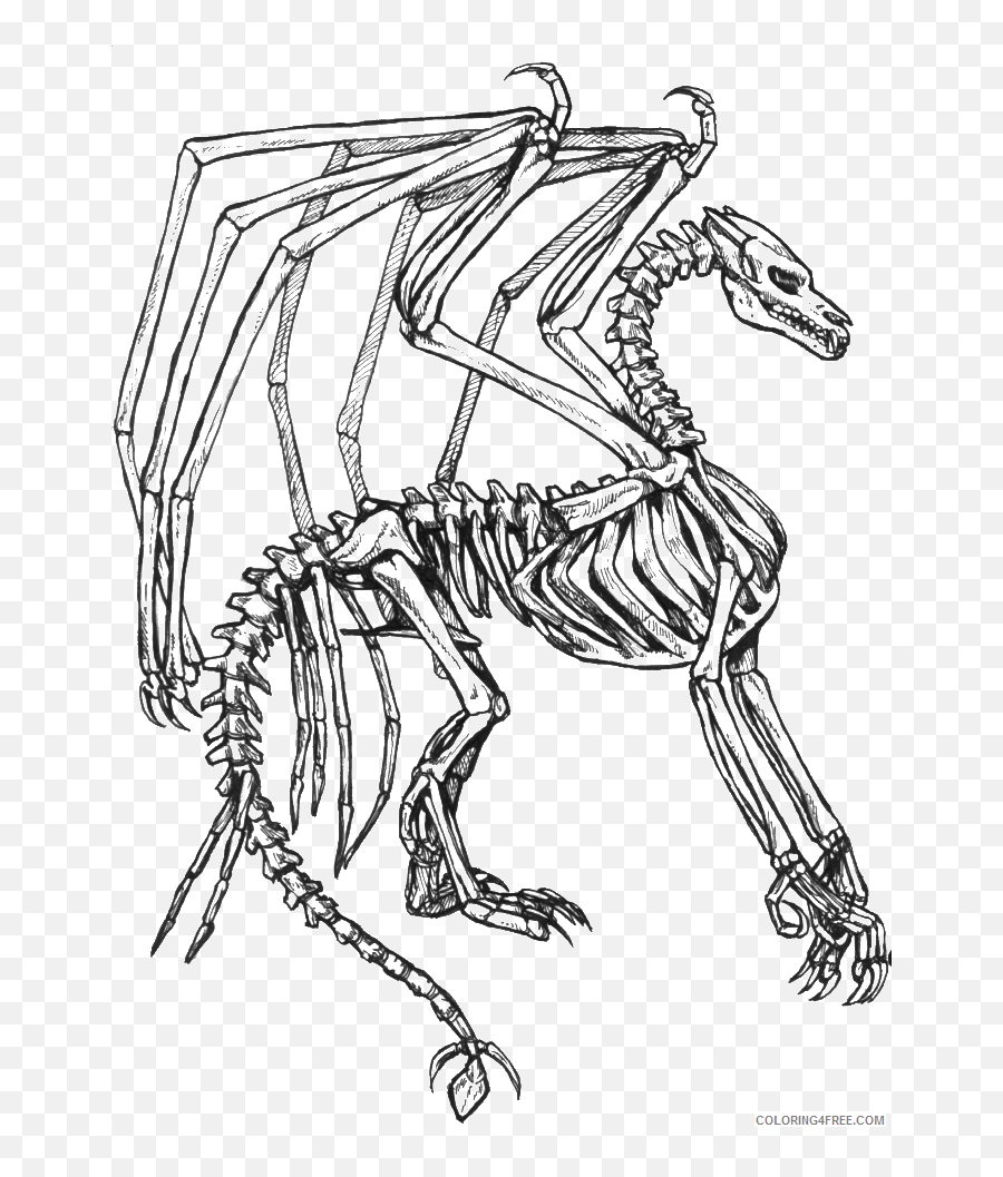 Dragon Skeleton Coloring Pages Coloring4free - Coloring4freecom Coloring Book Emoji,Gun Skull And Pie Emoji