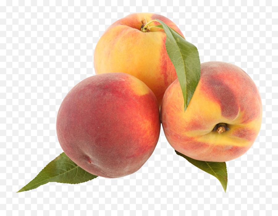 Peach Clipart Transparent Background - Peaches Png Emoji,Peach Emoji Backgrounds