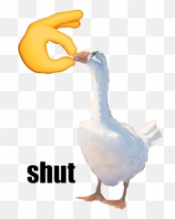 Animals Emoji - Crossfit Bootcamp,Goose Emoji