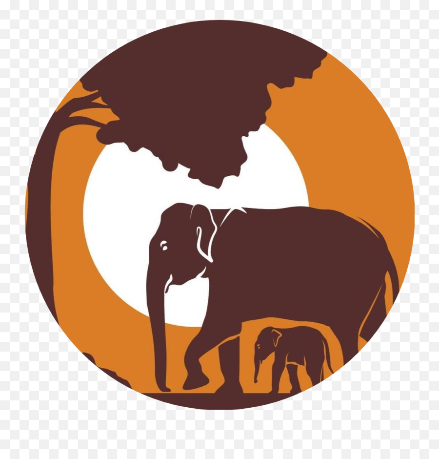 5 Tips To View Wildlife Responsibly - Elephant Hyde Emoji,Elephant Touching Dead Elephant Emotion