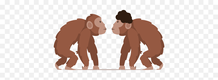 About - Homo Sapiens Animated Gif Emoji,Barred Teeth Chimpanzee Emotion