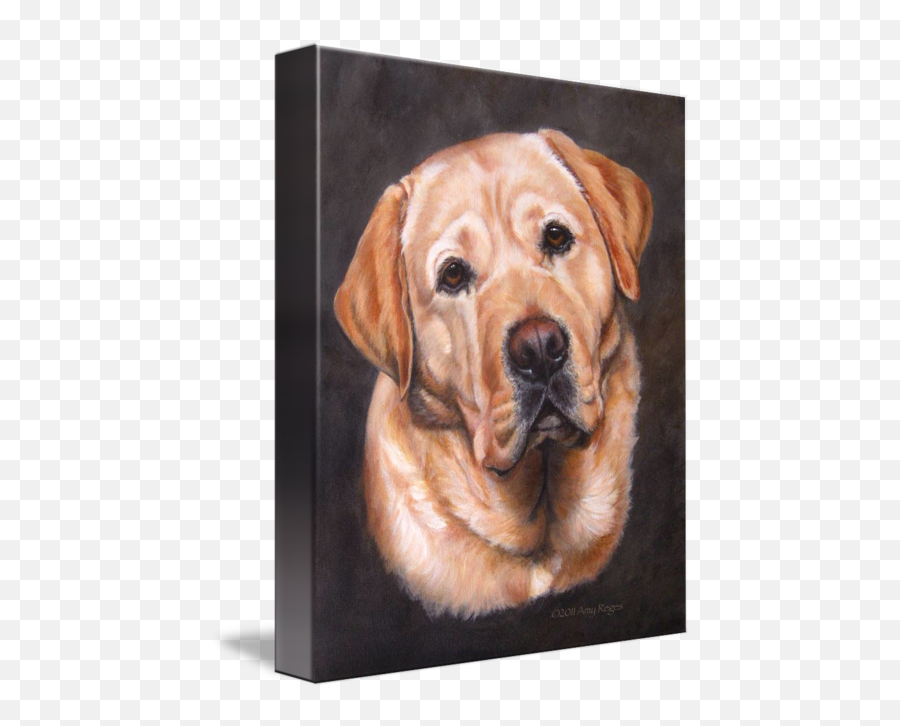 Yellow Labrador Dog Portrait Painting By Amy Reges - Yellow Labrador Portrait Dark Yellow Dog Emoji,Paitings Using Color To Show Emotion