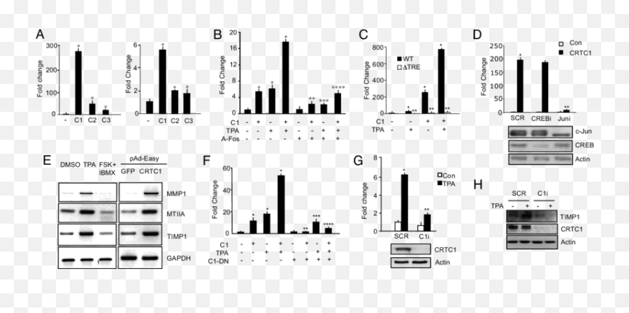 Crtc1 Promotes The Tpa Response Of Ap - Vertical Emoji,Work Emotion C2 White