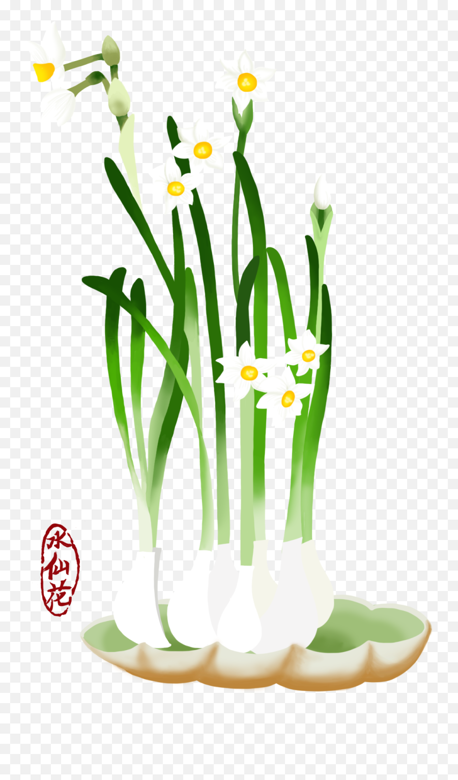 Blume Hand Gezeichnet Narzisse Pflanze Png Und Psd - Iris Vertical Emoji,Girl Emoji Psd