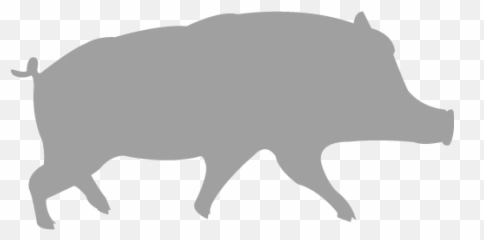 Pig 010 Icons Images Png Transparent - Domestic Pig Emoji,Pig Emoji Mages Transparent Background