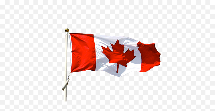 Download Canada Ontario Canadian Justice Of Flag Emoji,Justice Emoticon Birthday