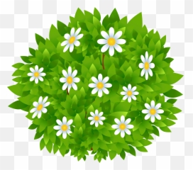 Transparent Background Bush Clipart - Transparent Background Bush Clip Art Emoji,Shrub Emoji