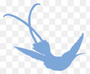 Over 70 Free Hummingbird Vectors - Pixabay Emoji,Fly High Bird Emoji