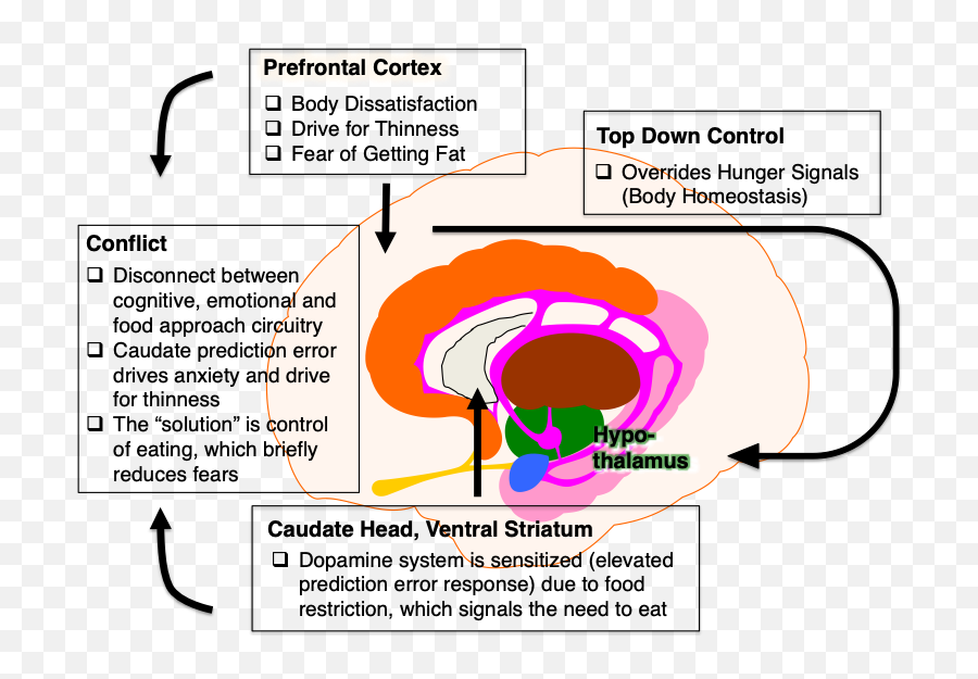 Bringing Neuroscience To The Patient - Eating Disorders Language Emoji,Hunger Emotion