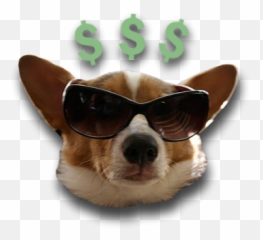Doghouse Esports Has Its Own Discord - Northern Breed Group Emoji,Corgi Emoji
