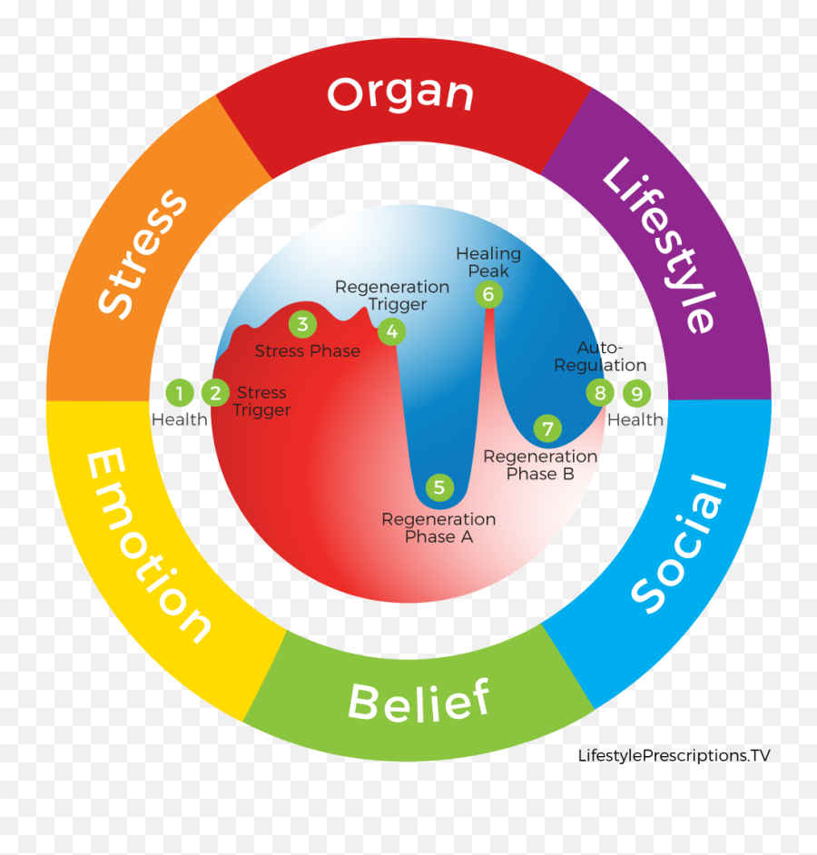 Healing Evolution - Root Cause Of The Disease Emoji,Evolution Of Emotions