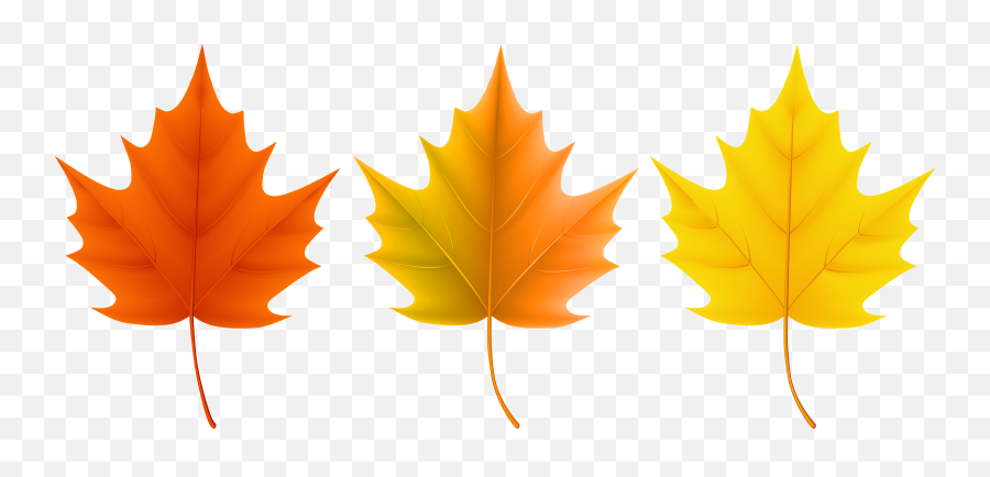 Clipart Summer Autumn Clipart Summer - Maple Leaves Clipart Transparent Background Emoji,Fallen Leaves Emoji