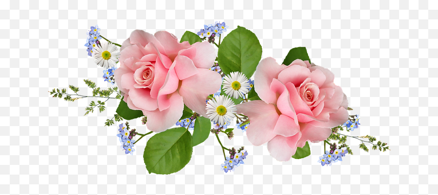 Free Roses Daisies Rose Illustrations - Roses And Daysies Png Emoji,Flowers As Human Emotion Art