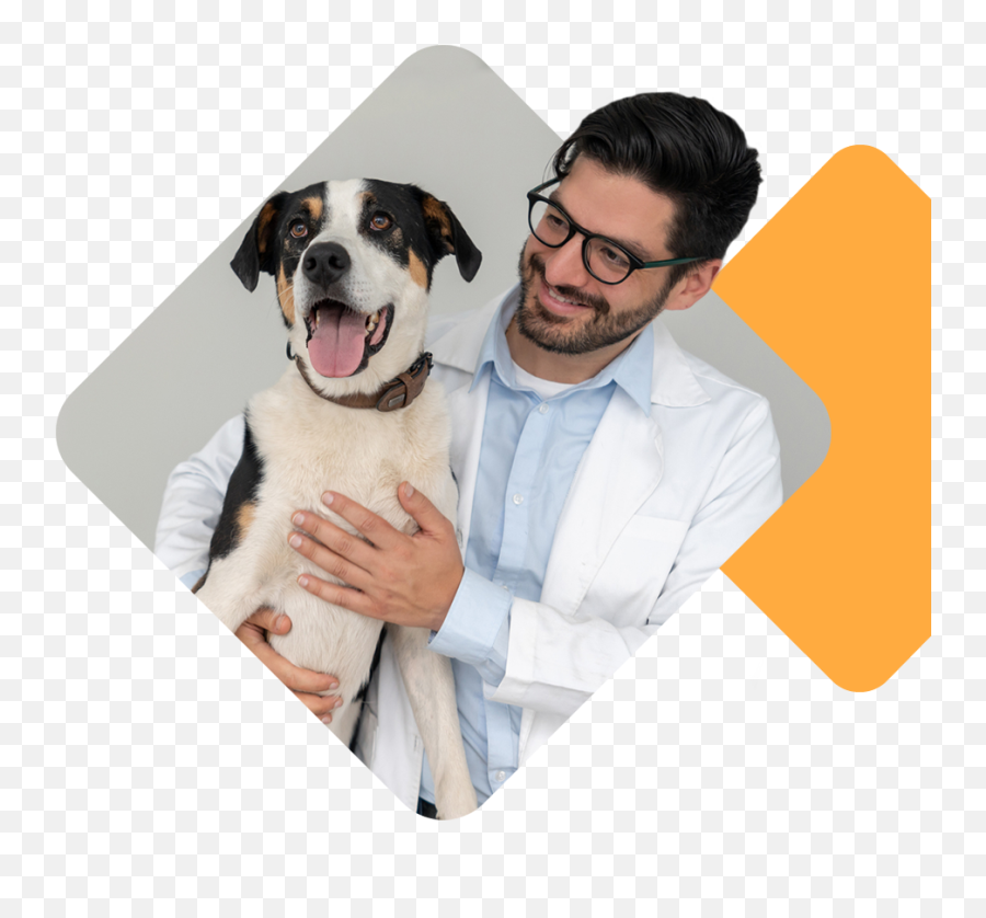 Veterinary Medical Services - Primary Wellness U0026 Urgent Collar Emoji,Bbc Dogs Emotions