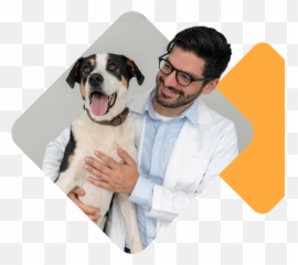 Veterinary Medical Services - Primary Wellness U0026 Urgent Collar Emoji,Bbc Dogs Emotions