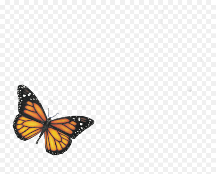 Mariposa Butterfly Sticker - Monarch Butterfly Emoji,Emoji Mariposa