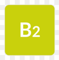 Level B2 - Solid Emoji,Spanish Adjectives Emotions
