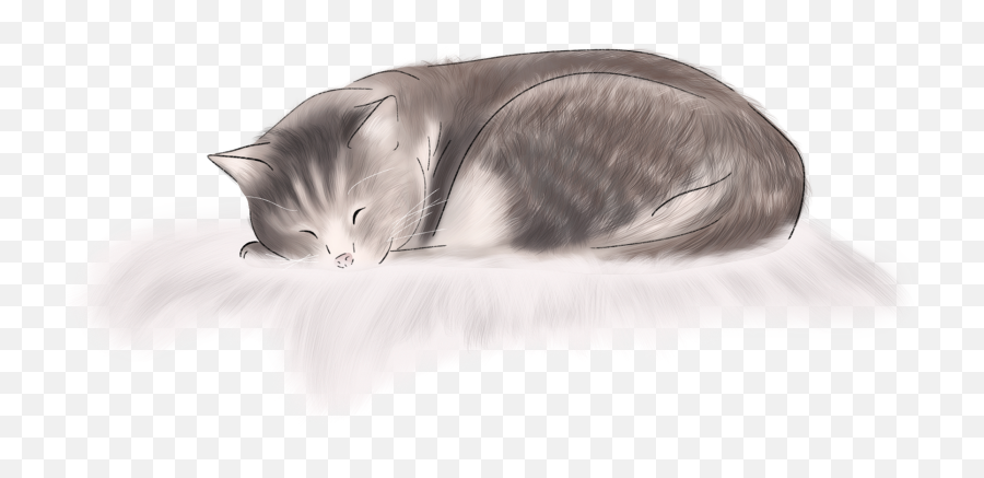 Cat Kitten Sleeping Sleepingcat Sticker - Soft Emoji,Sleeping Cat Emoji
