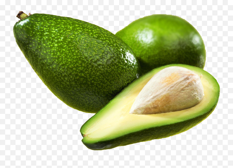 Avocado Fruit Icon - Avocado Png Download 20521702 Free Avocado Png Emoji,Guacamole Emoji
